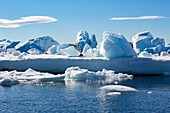 Ice floe, Antarctica