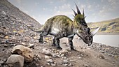 Artwork of the dinosaur styracosaurus