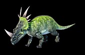 Artwork of the dinosaur styracosaurus