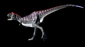 Artwork of the dinosaur carnotaurus