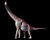 Artwork of the dinosaur brachiosaurus