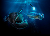 Scary deep sea fish with light examining fish