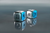 Pair of dice with environmental damage symbols