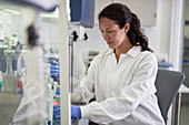 Focused scientist in lab coat working in laboratory