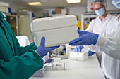 Scientists in rubber gloves passing specimen cooler