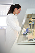 Female scientist working at fume hood in laboratory