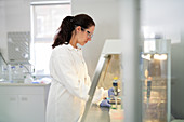 Female scientist working at fume hood in laboratory
