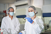 Scientists in protective workwear examining specimen