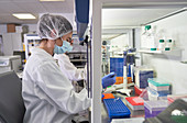 Scientist filling pipette trays at fume hood
