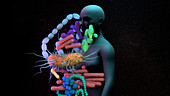 Human microbiota, conceptual illustration