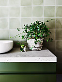 Olivgrüner Waschtisch mit Betonplatte im Badezimmer
