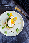 Toast with avocado, poached egg and basil