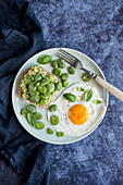 Avocado toast with broad beans, served with fried egg and fresh basil