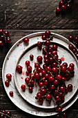 Red currants on a ceramic plate