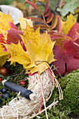 Tie autumn leaves onto straw horns with winding wire