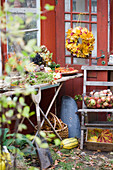 Arbeitstisch für Herbstbinderei, Türkranz aus Ahornblättern und Korb mit Äpfeln