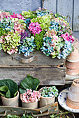 Farbmix aus Hortensienblüten, Zierkohl und Hebe in Holzkiste