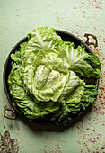 Fresh head of cabbage in an old tray