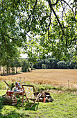Picnic in the garden with deckchair and fire bowl