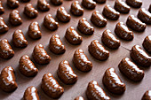 Herstellung von Schokoladenpralinen