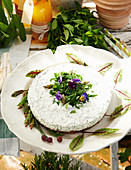 Savory herbed cheese cake