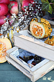 Ornamental pumpkin (gourd) cut open to harvest seeds