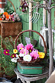 Korb mit Blüten von Dahlien, Ringelblumen und Schmuckkörbchen