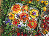 Tomato tartlets with cream cheese filling and oregano
