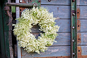 White wreath of elderflowers