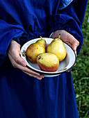 Woman holds an enamel bowl with pears