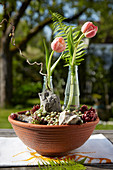 Kleine Flaschen mit Tulpenblüten im Mini-Steingarten mit Hauswurz und Steinen