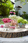 Frühlingsdekoration mit Hortensienblüten und gefüllter Tulpe in Muffinförmchen