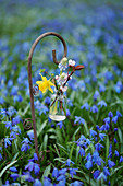 Kleines Fläschchen mit Strauß aus Narzisse, Traubenhyazinthe und Blütenzweig an Dekostecker in Frühlingswiese aus Blausternchen