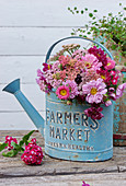 Summer bouquet of yarrow, zinnias, summer asters, and carnations in a blue watering can