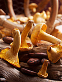 Chanterelles and cocoa beans