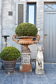 Box balls in pot and urn next to dog sculpture