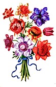 Bouquet of poppy anemone (Anemone coronaria), illustration