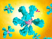 Covid-19 ferritin nanoparticle vaccine, illustration