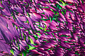Chemical mixture, polarised light micrograph