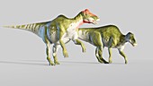 Artwork of a pair of Edmontosaurus