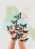 Hands releasing butterflies, illustration
