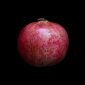 Pomegranate (Punica granatum) fruit