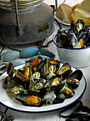 Traditional moules mariniere