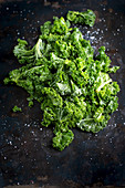 Raw kale with coarse salt on a baking sheet