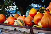 Different pumpkins on a wooden cart
