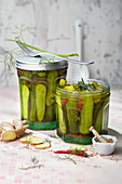 Pickled garden cucumbers with ginger, chilli and dill