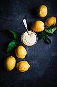 Zitronenquark zwischen frischen Zitronen