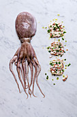 Squid and squid terrine