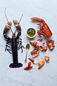 Lobster, cooked and raw