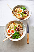 Ramen with chicken bone brother, pork shoulder, soft boiled egg and greens (Japan)